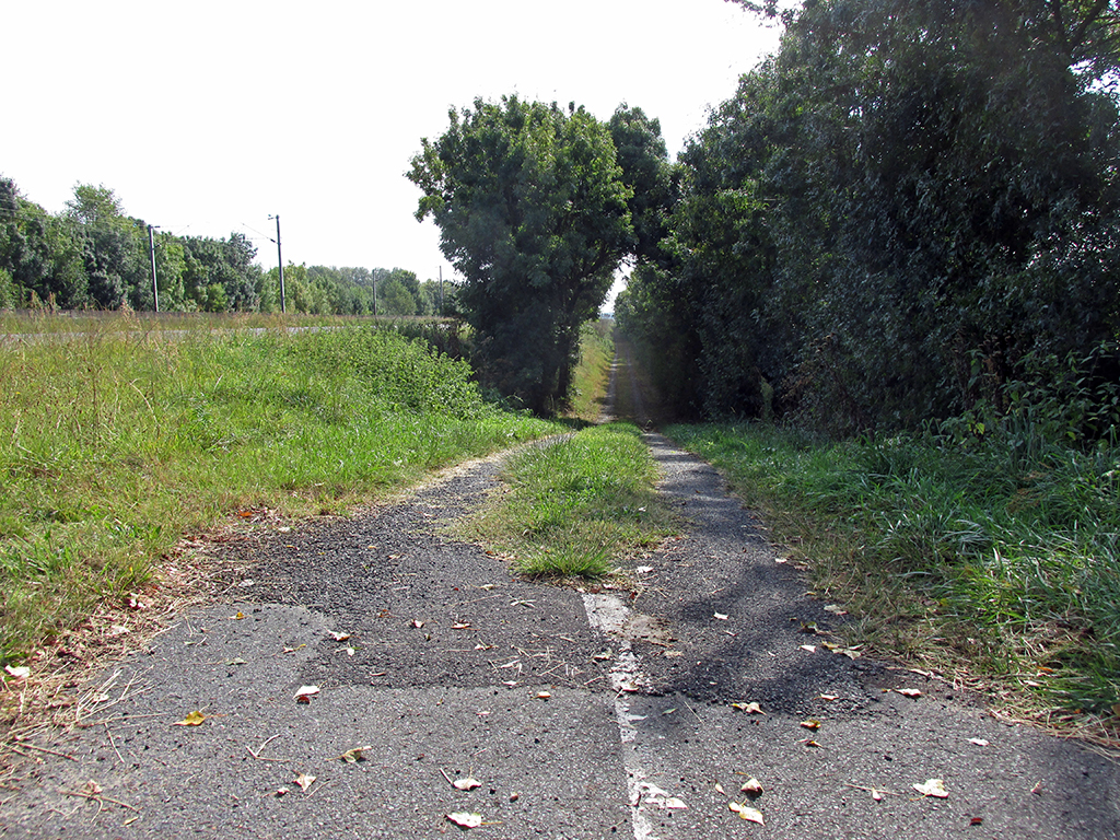 Savigny-en-Veron-Gennes-bad bike path