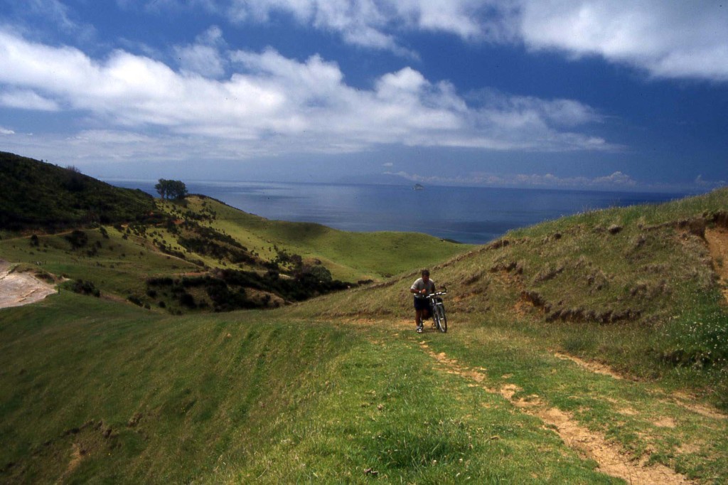 Bicycling North Island New Zealand-Coromandel Walkway