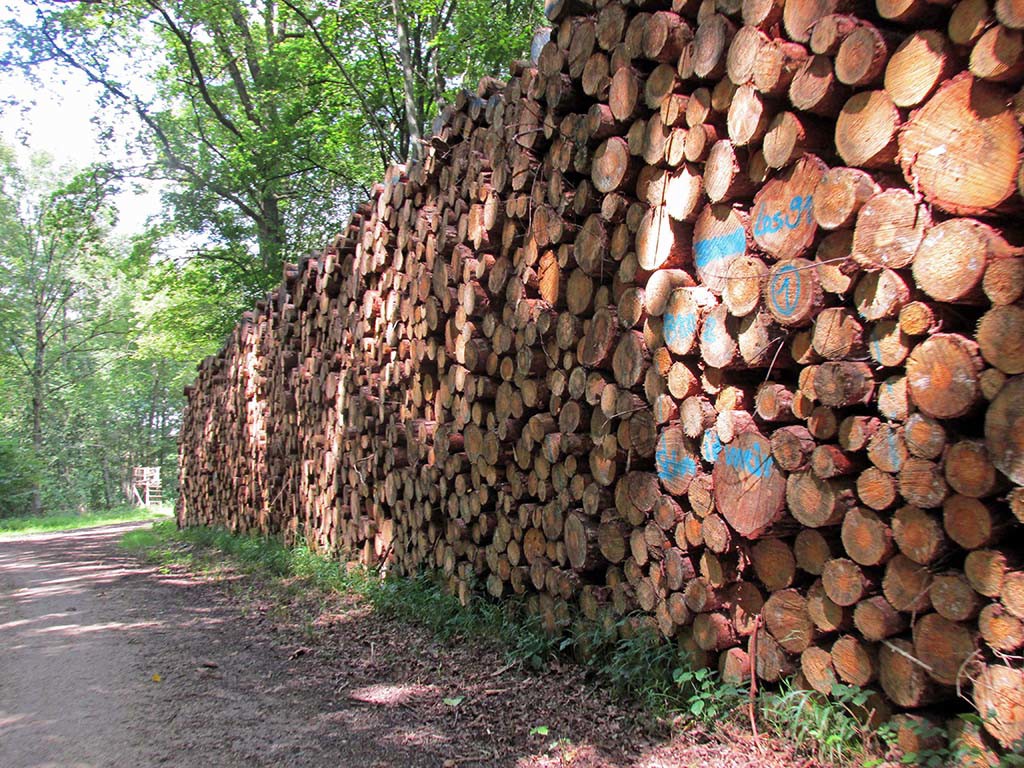 Vohburg-Neuburg-Germany-gravel paths-firewood