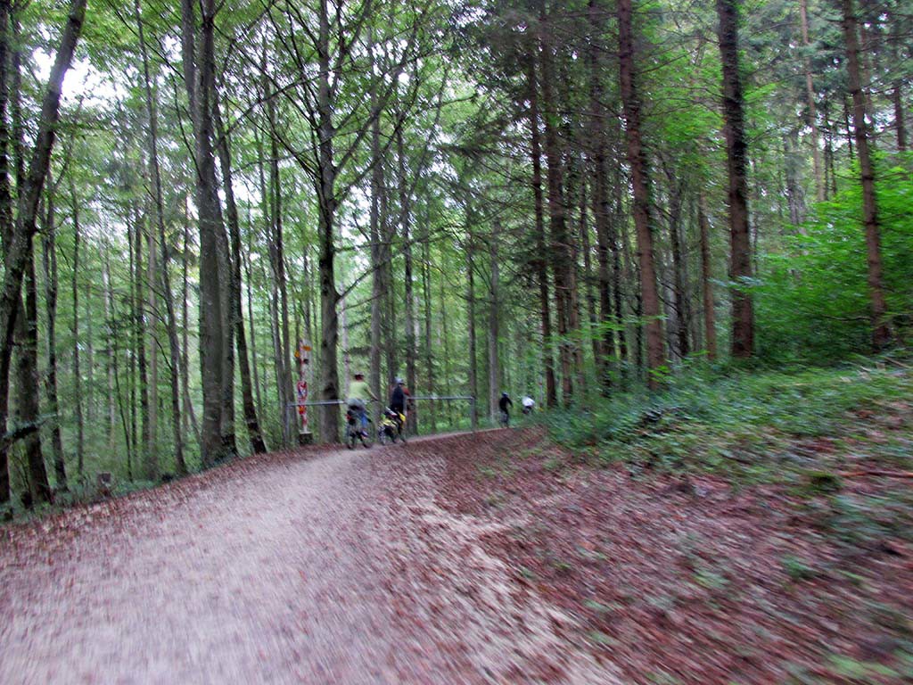Markelfingen-Germany- Schaffhausen-Switzerland-bike path-tough gravel