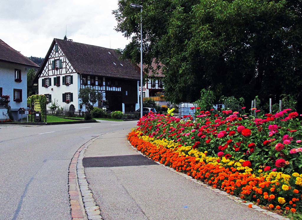 Schaffhausen-Switzerland-Lienheim-Germany-pretty towns