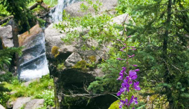 Hiking Ouray, Silverton & Lake City-Cataract Gulch waterfall