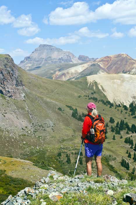 Hiking Adventures-Hiking Lake City-Uncompahgre from above Alice creek