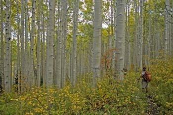 Hiking Adventures-Colorado-Crested Butte-Ruby Anthracite Trail