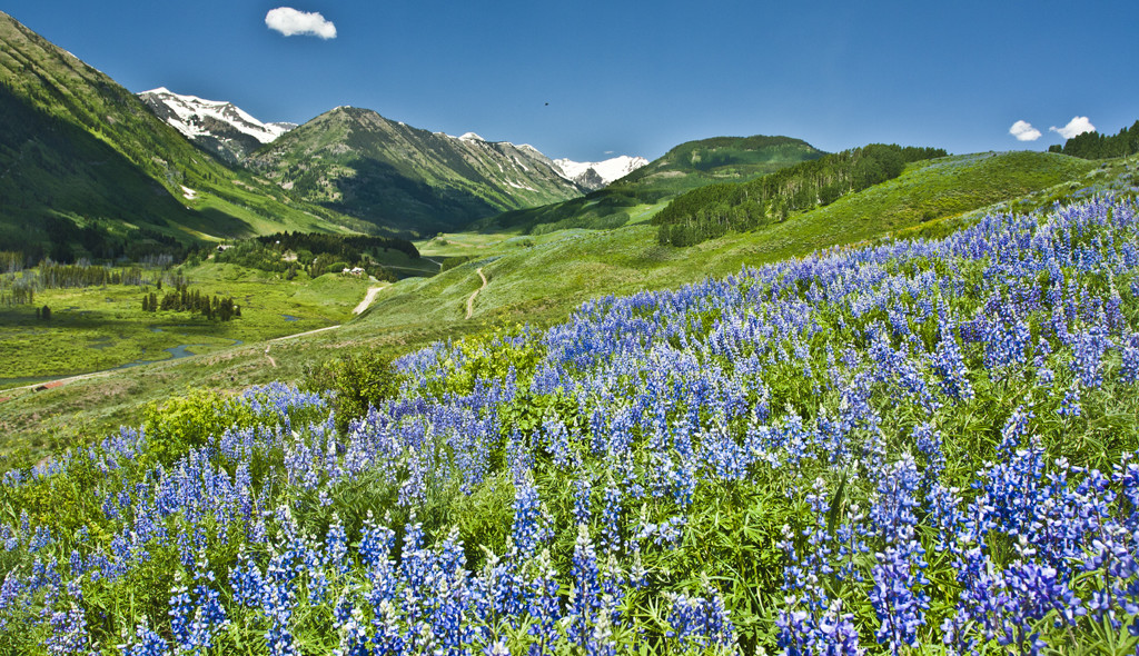 Hiking Crested Butte Colorado