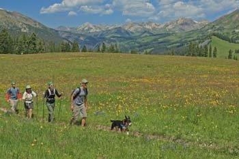 Hiking Crested Butte Colorado-Trail 409