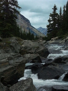 Hiking Canada-Brazeau Lake Loop-Nigel Creek