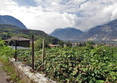 Trento to Lake Guarda, Italy